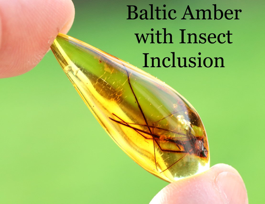 Baltic Amber with Insect Inclusion