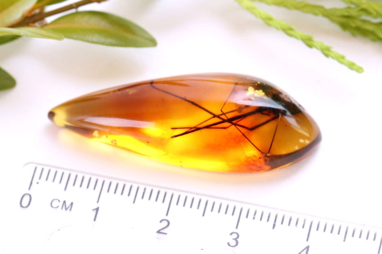Baltic Amber with Insect Inclusion