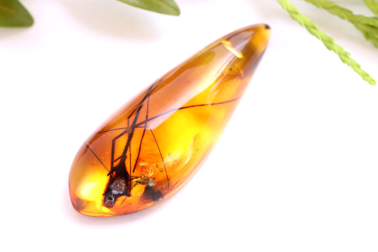 Baltic Amber with Insect Inclusion