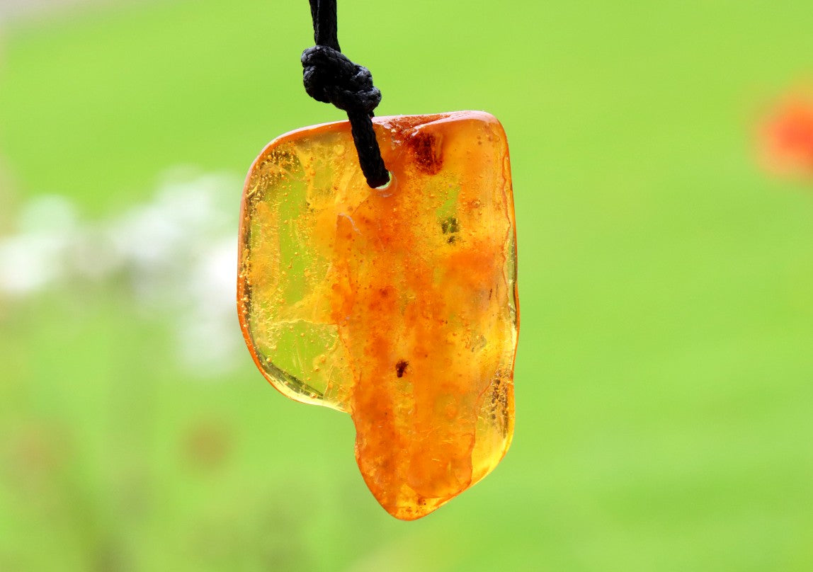 40-Million-Year-Old Insect Inclusion in Baltic Amber – Fossil Amulet Pendant