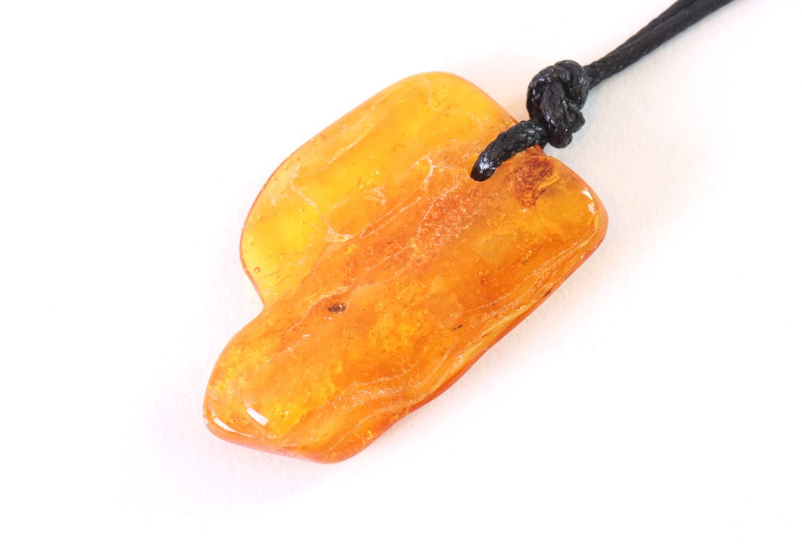 40-Million-Year-Old Insect Inclusion in Baltic Amber – Fossil Amulet Pendant
