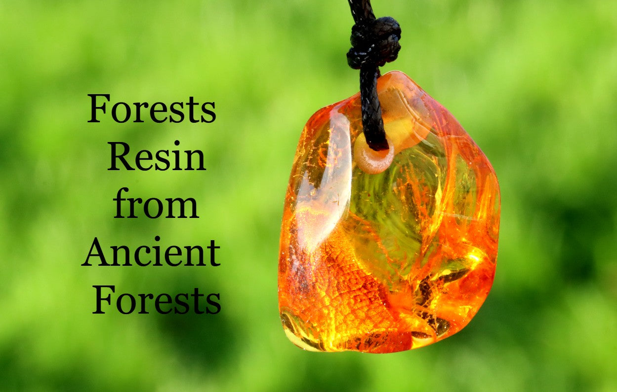 Baltic Amber Amulet with Insect Inclusion