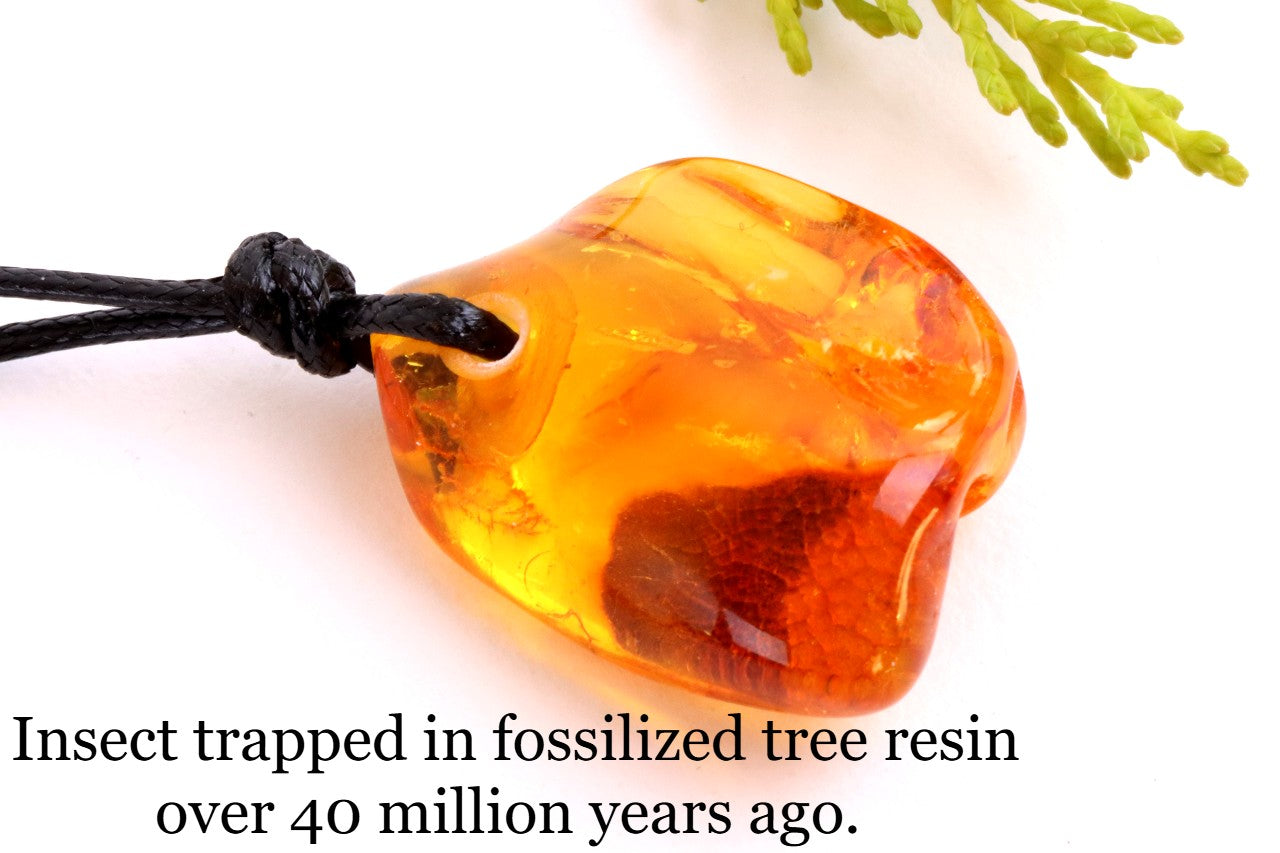 Baltic Amber Amulet with Insect Inclusion