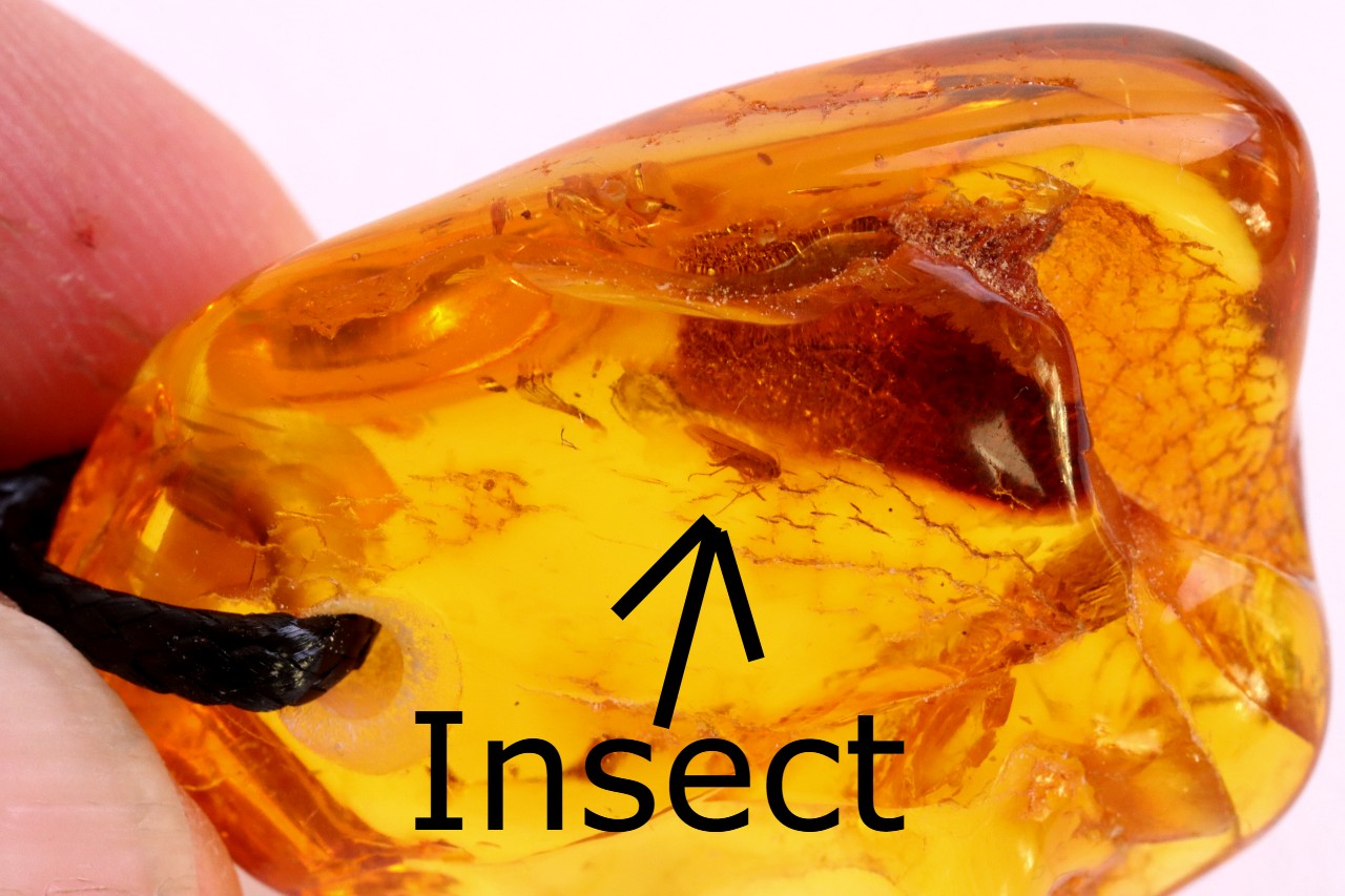 Baltic Amber Amulet with Insect Inclusion