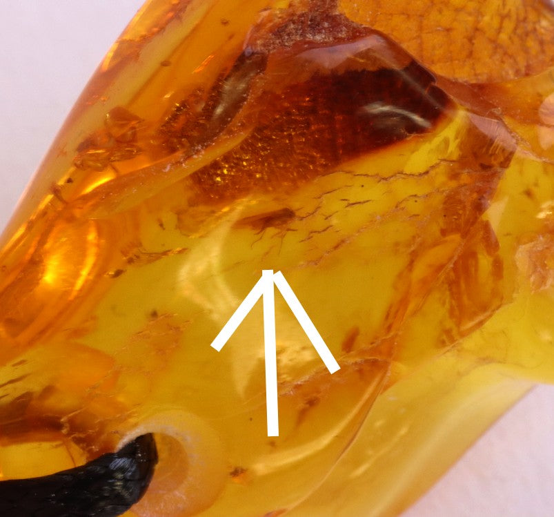 Baltic Amber Amulet with Insect Inclusion
