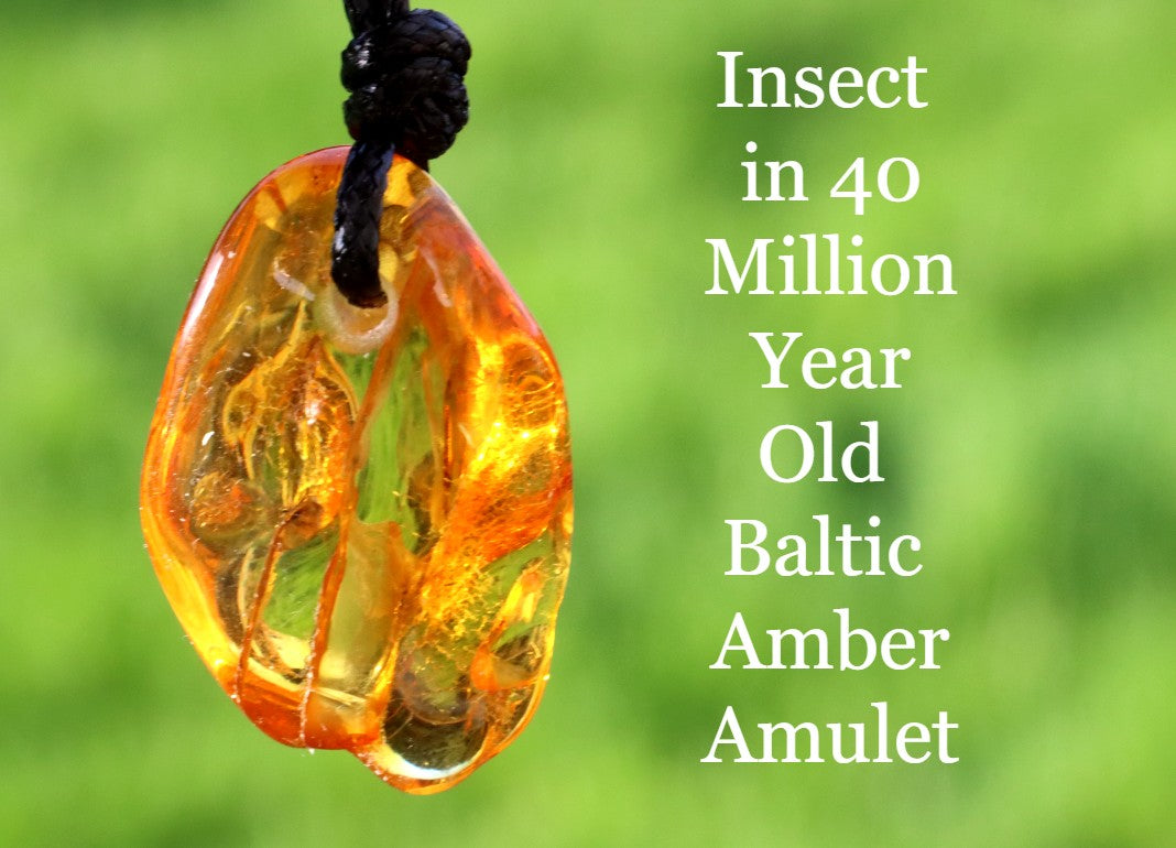 Natural Insect Inclusion Amulet