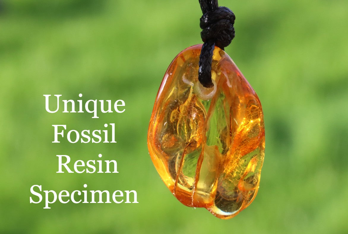 Natural Insect Inclusion Amulet