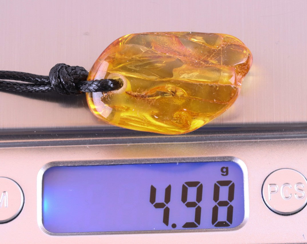 Natural Insect Inclusion Amulet