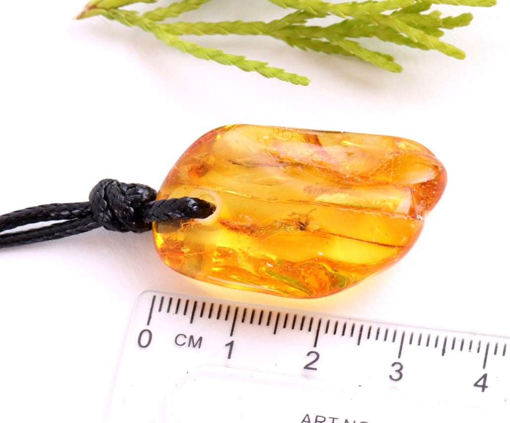 Natural Insect Inclusion Amulet