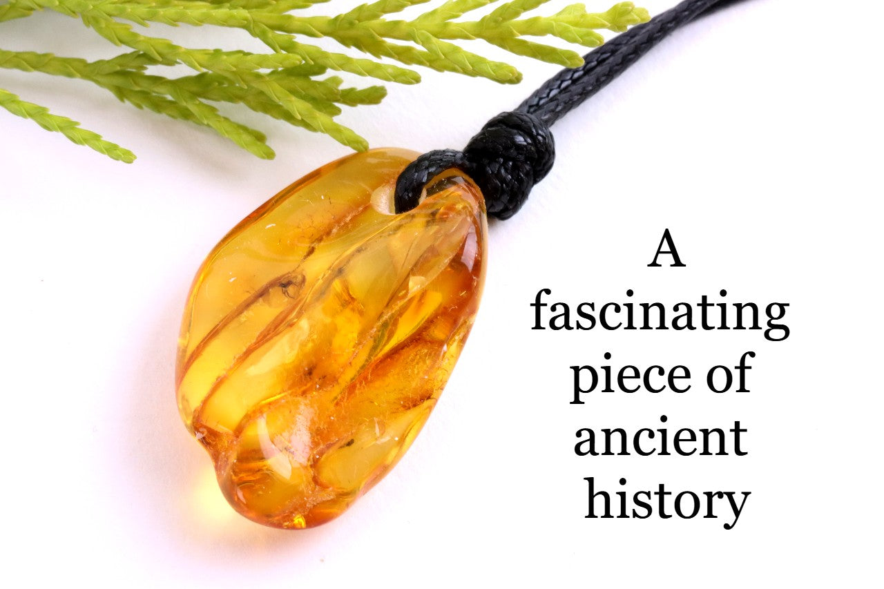 Natural Insect Inclusion Amulet