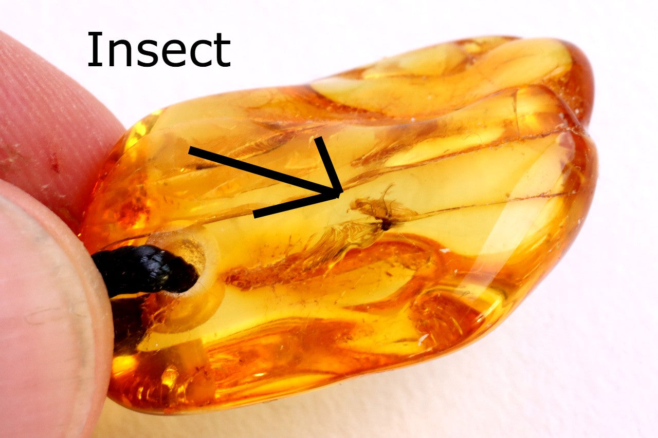 Natural Insect Inclusion Amulet