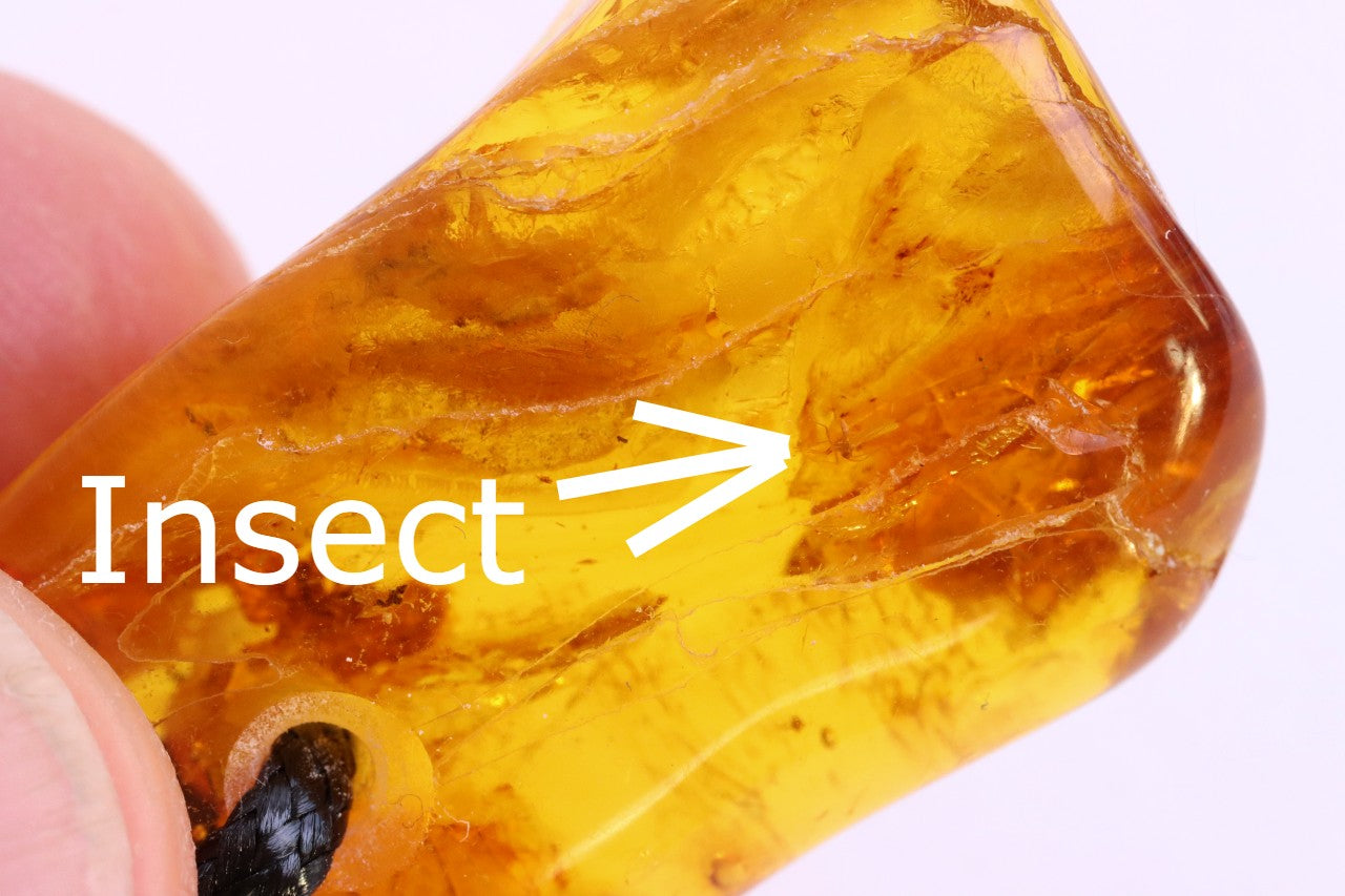 Baltic Amber Amulet with Insect Inclusion | 40 Million Year Old Fossil Resin from Eocene Era