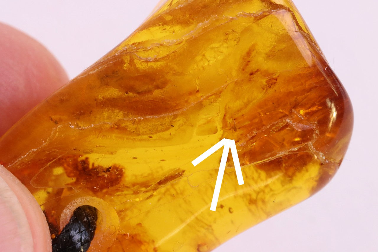 Baltic Amber Amulet with Insect Inclusion | 40 Million Year Old Fossil Resin from Eocene Era