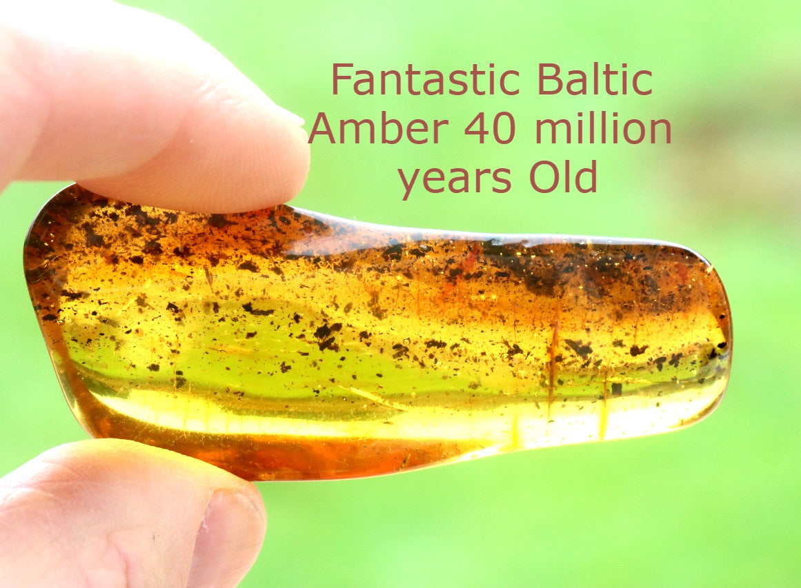 Warm Natural Baltic Amber Gemstone