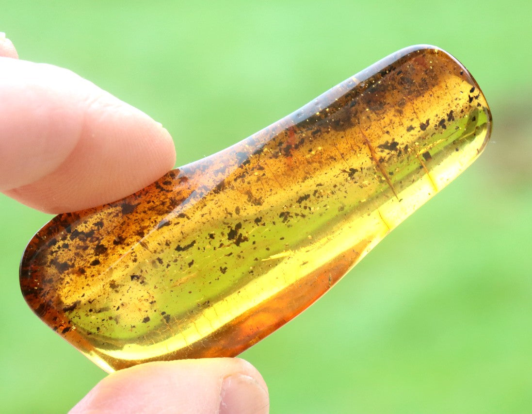 Warm Natural Baltic Amber Gemstone