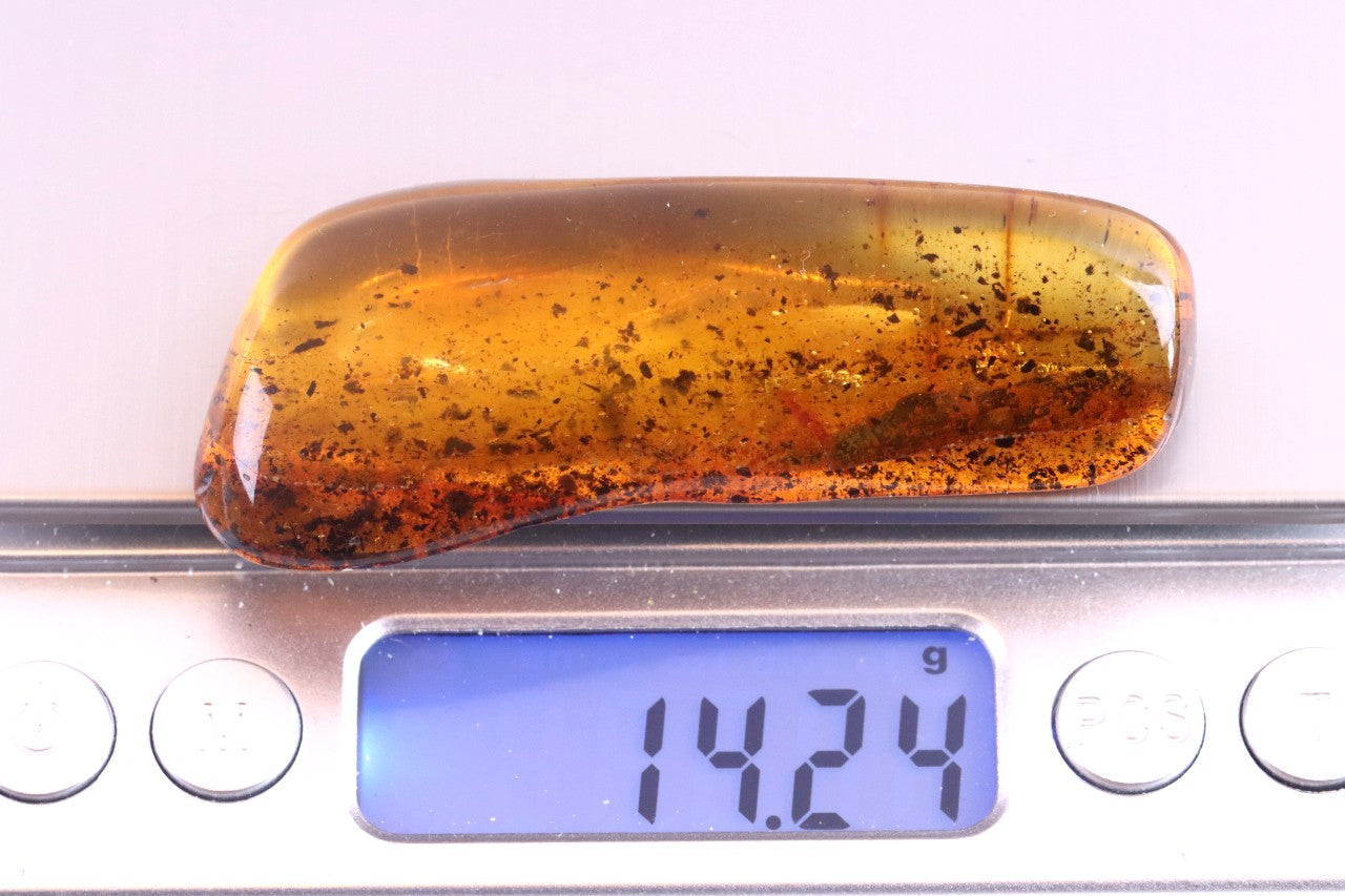 Warm Natural Baltic Amber Gemstone