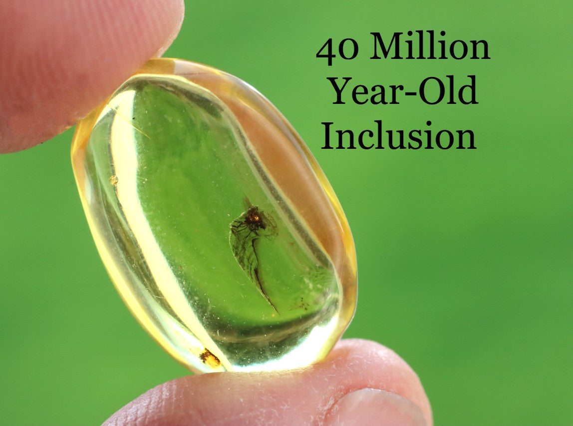 Clear Baltic Amber with Insect