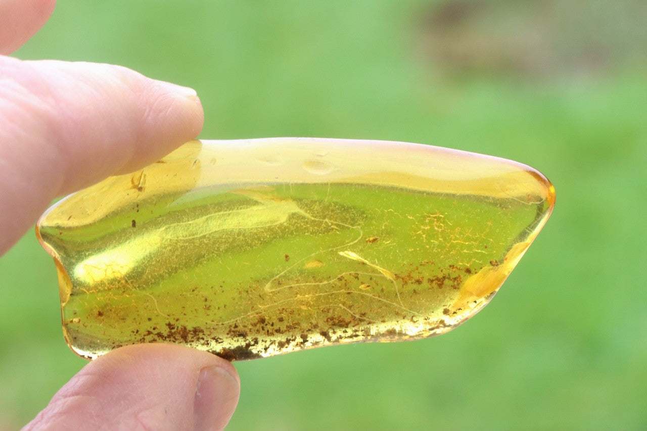 Smooth Baltic Amber Gemstone