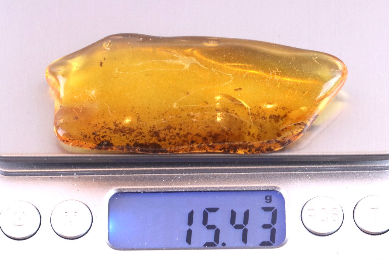 Smooth Baltic Amber Gemstone