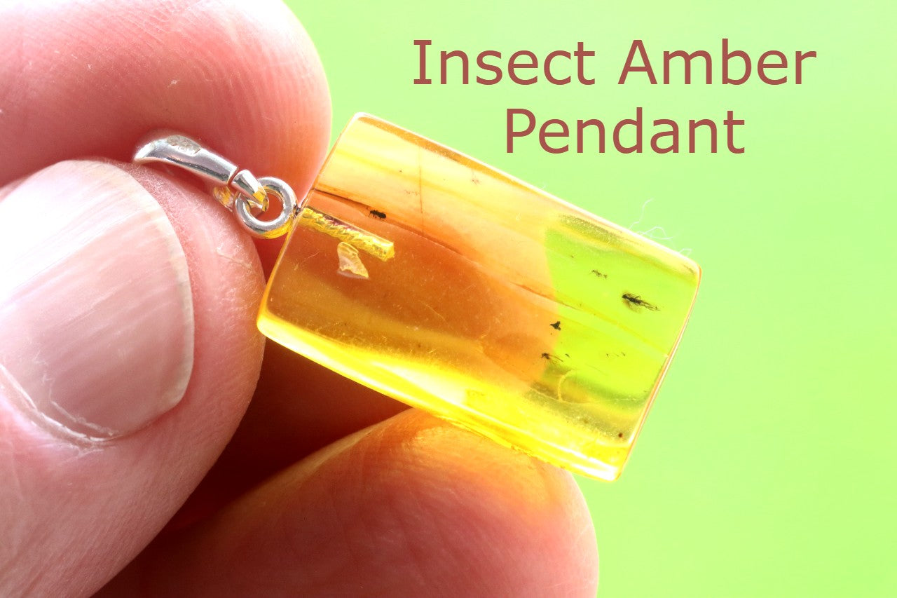 Baltic Amber Pendant with 3 Insects