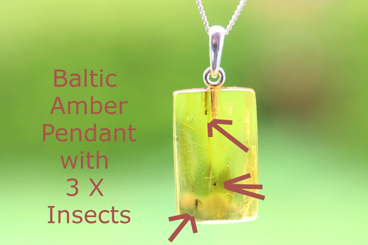 Baltic Amber Pendant with 3 Insects
