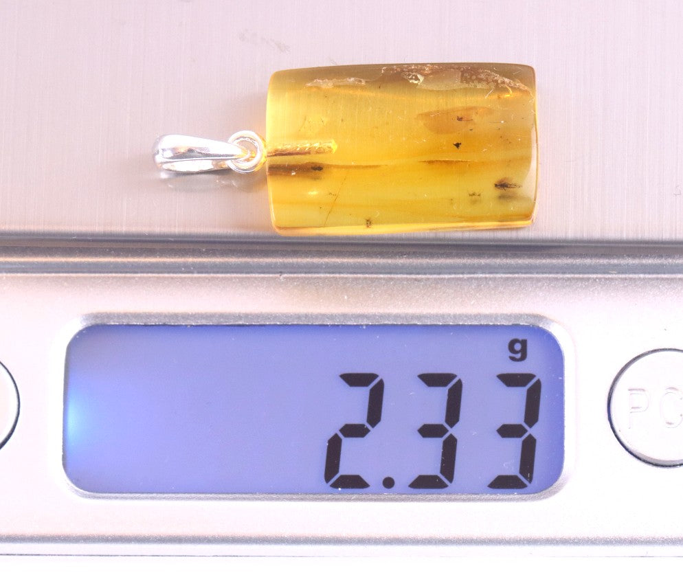 Baltic Amber Pendant with 3 Insects
