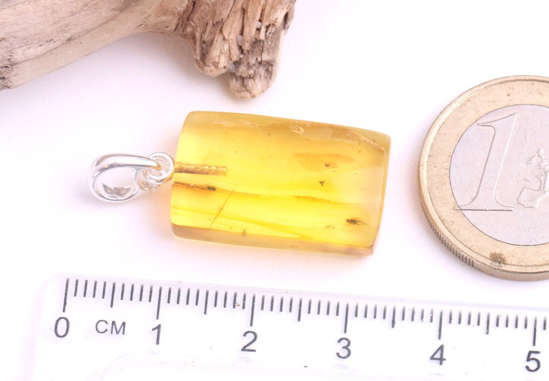 Baltic Amber Pendant with 3 Insects