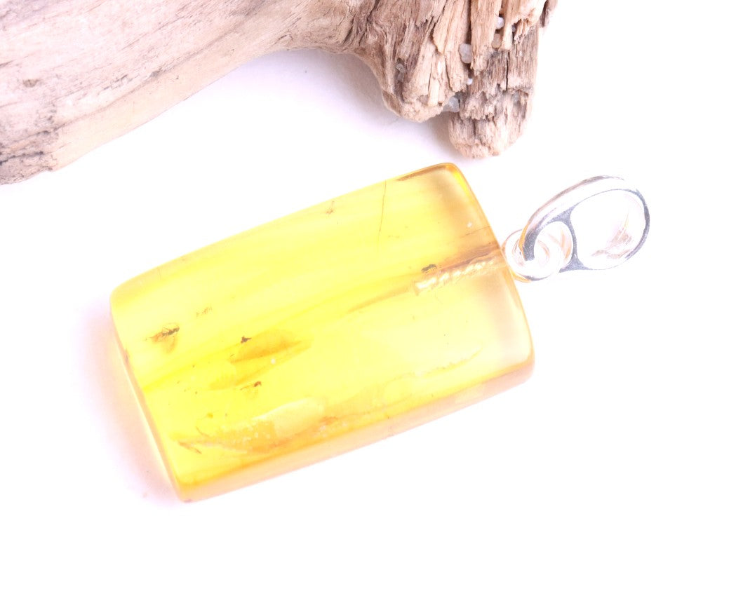 Baltic Amber Pendant with 3 Insects