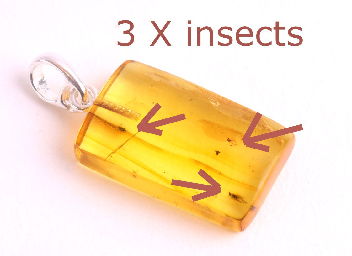Baltic Amber Pendant with 3 Insects
