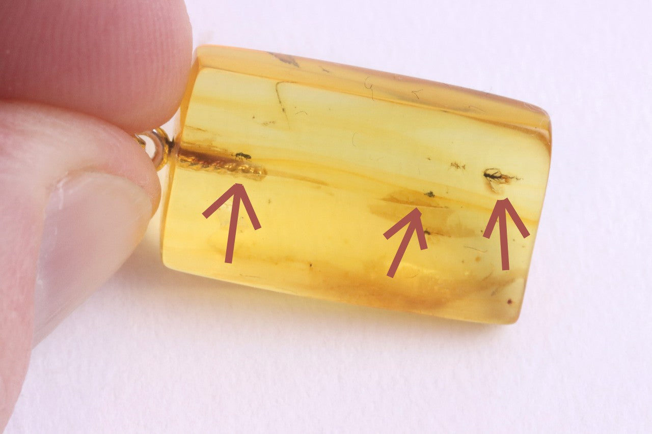 Baltic Amber Pendant with 3 Insects