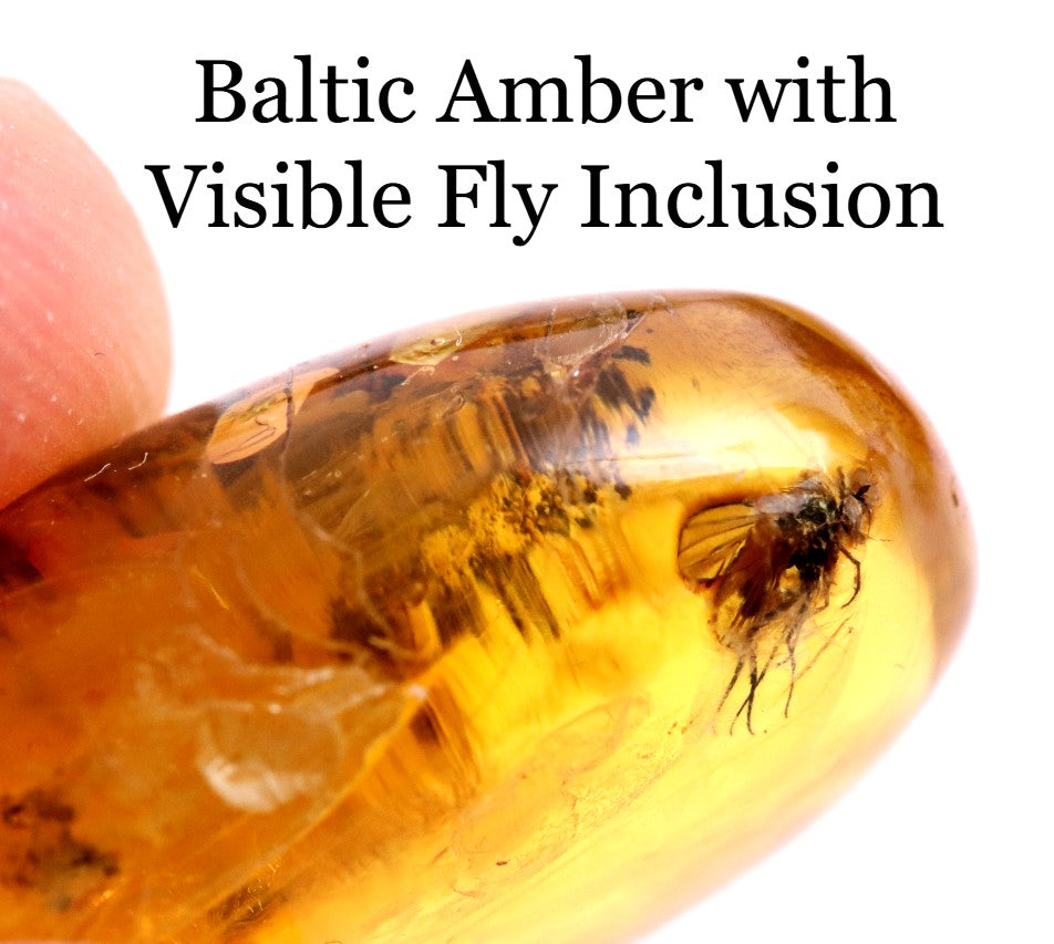 Baltic Amber with Visible Fly Inclusion