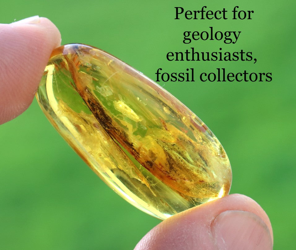 Baltic Amber with Visible Fly Inclusion