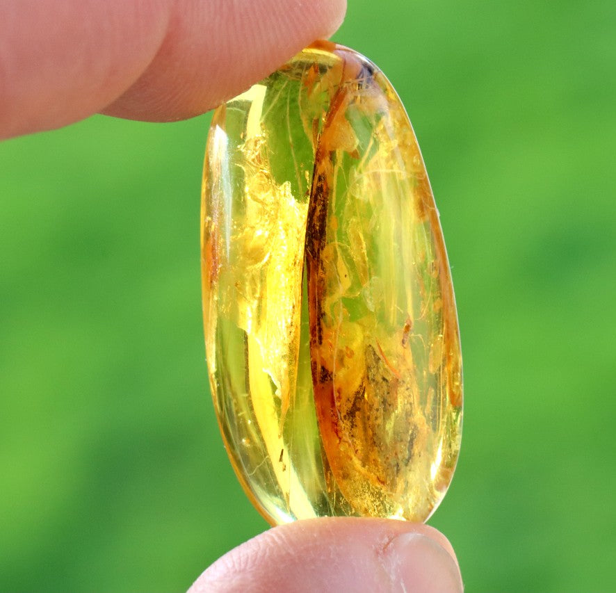 Baltic Amber with Visible Fly Inclusion