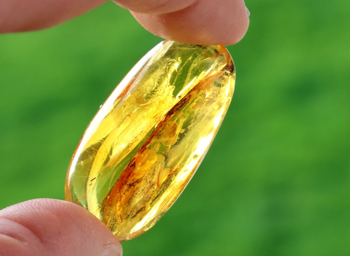 Baltic Amber with Visible Fly Inclusion