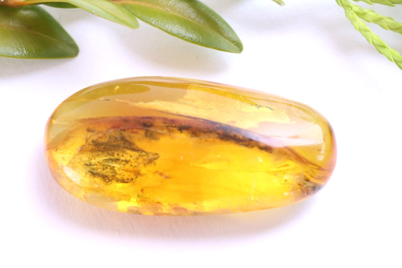 Baltic Amber with Visible Fly Inclusion