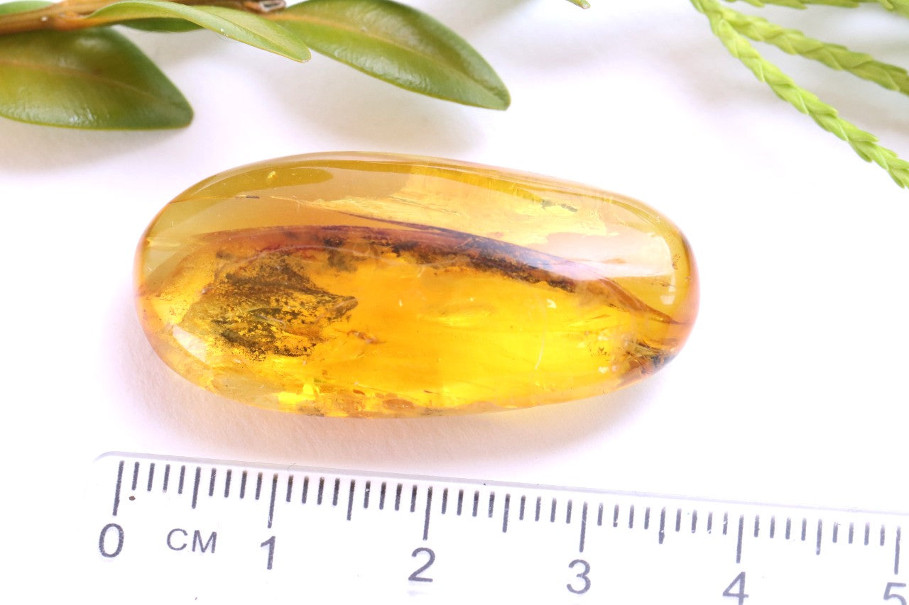 Baltic Amber with Visible Fly Inclusion