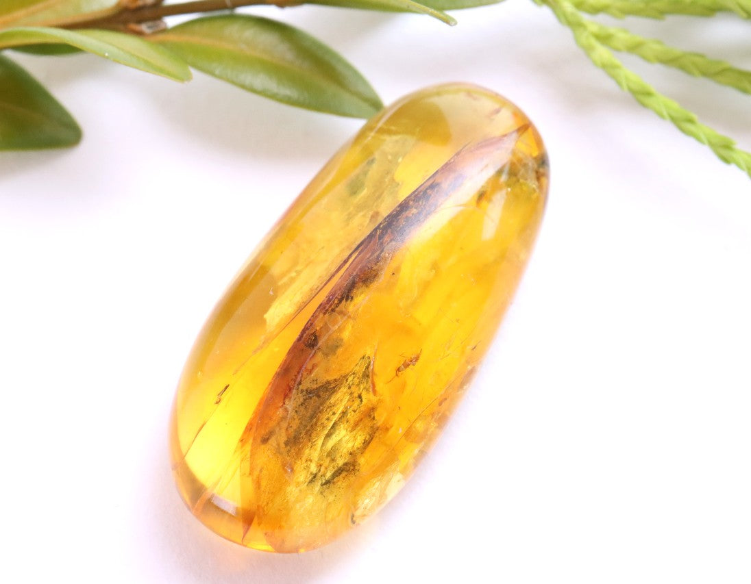 Baltic Amber with Visible Fly Inclusion