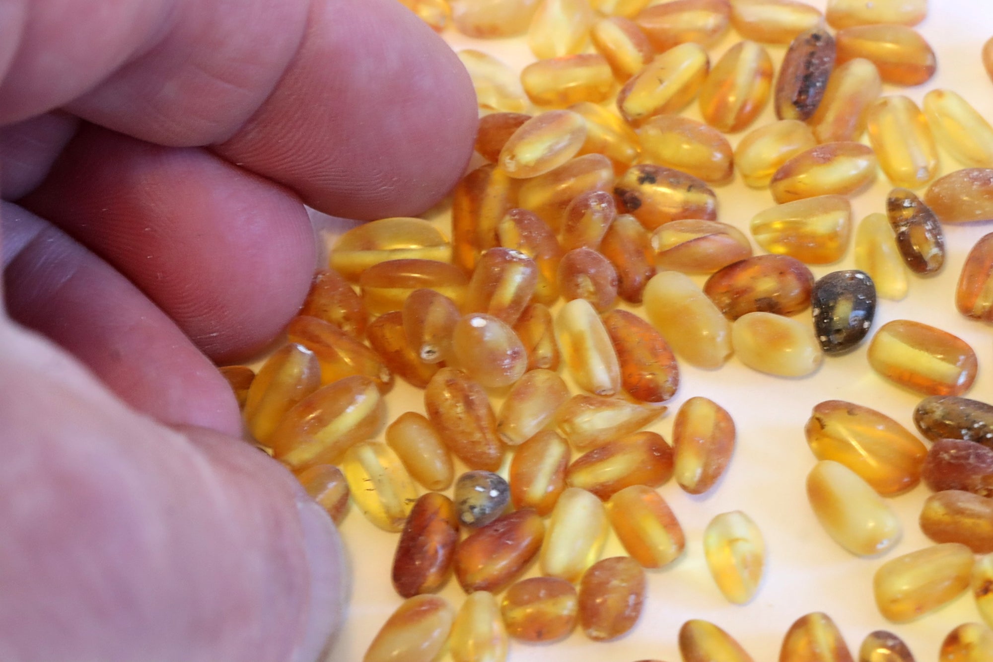 Semi Polished Bean Shaped Amber Beads - 100 beads in 15 grams