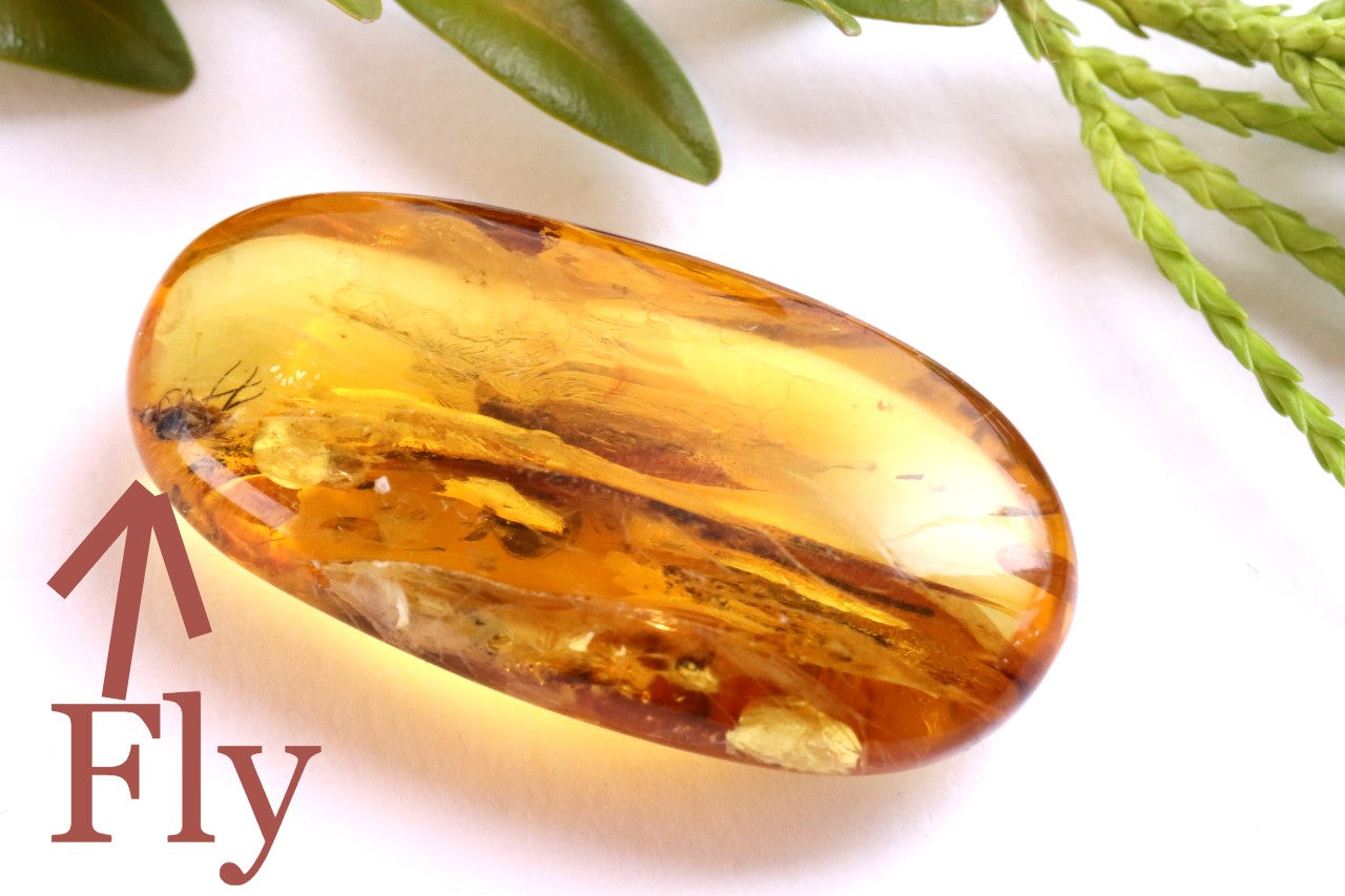 Baltic Amber with Visible Fly Inclusion