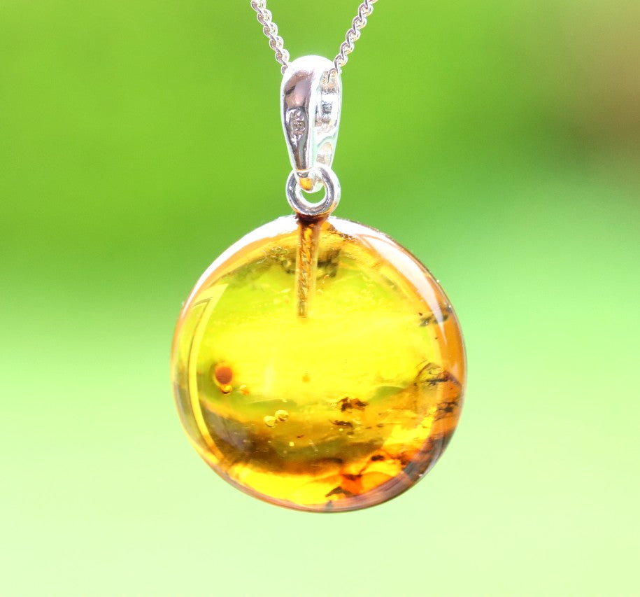 Sterling Silver Baltic Amber Pendant with 2 X Insect