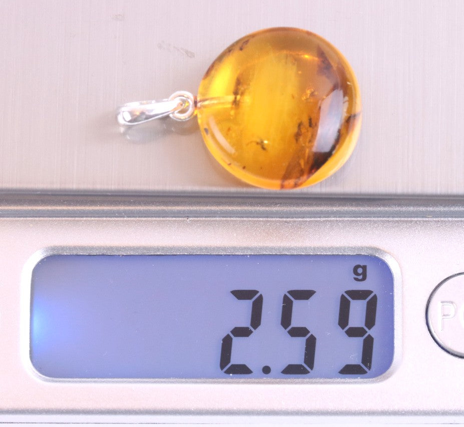 Sterling Silver Baltic Amber Pendant with 2 X Insect