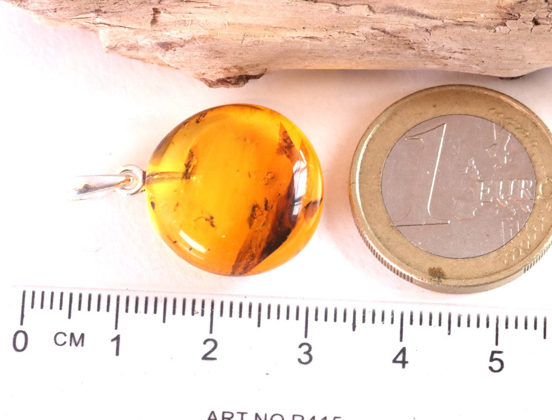 Sterling Silver Baltic Amber Pendant with 2 X Insect