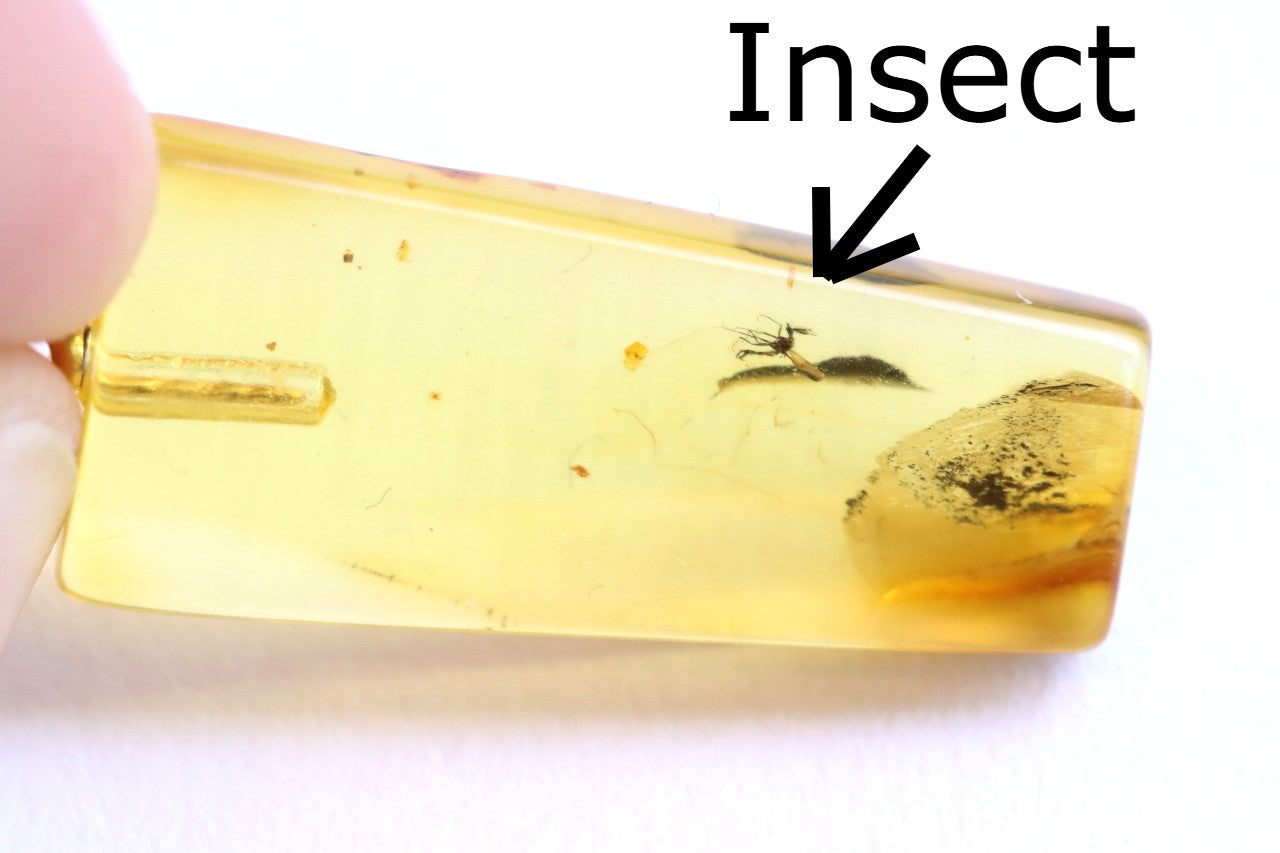Natural Baltic Amber Pendant with Insect Inclusion – 925 Gold-Plated Silver Setting