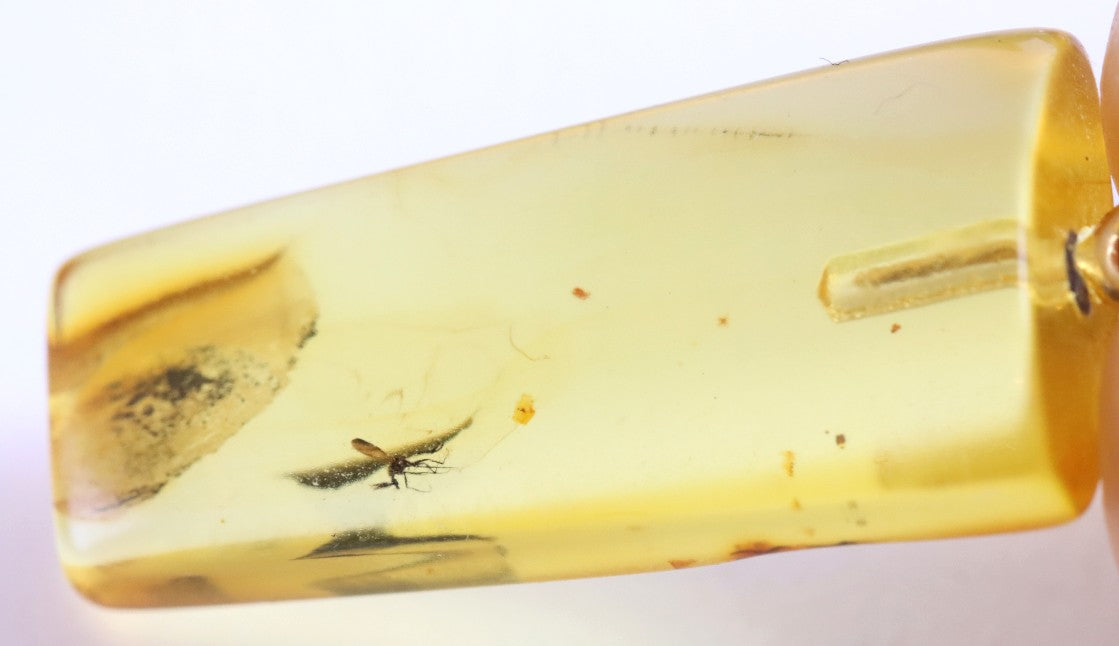 Natural Baltic Amber Pendant with Insect Inclusion – 925 Gold-Plated Silver Setting