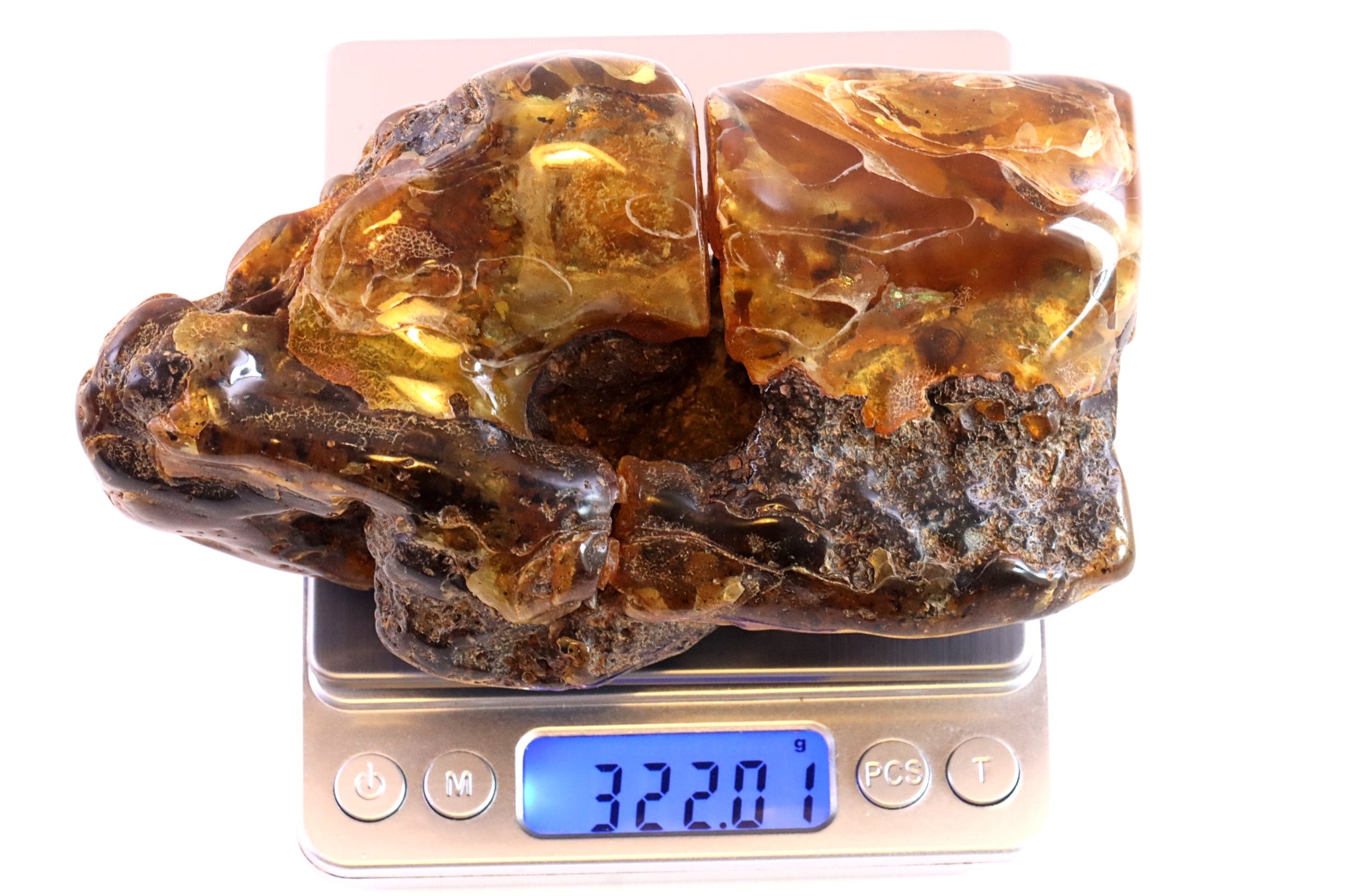 Unbelievable Large 322g Baltic Amber Collector's Gem