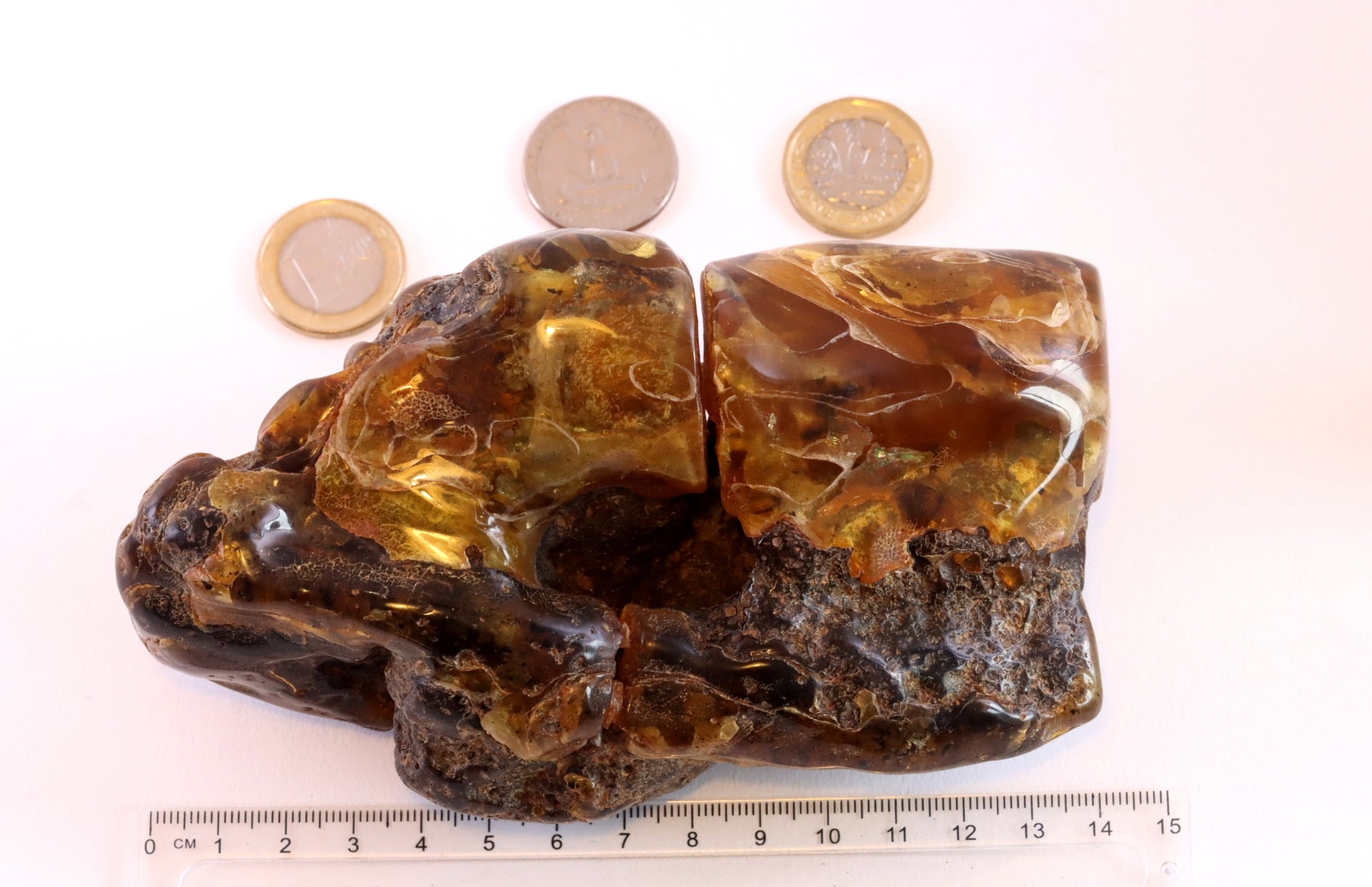 Unbelievable Large 322g Baltic Amber Collector's Gem