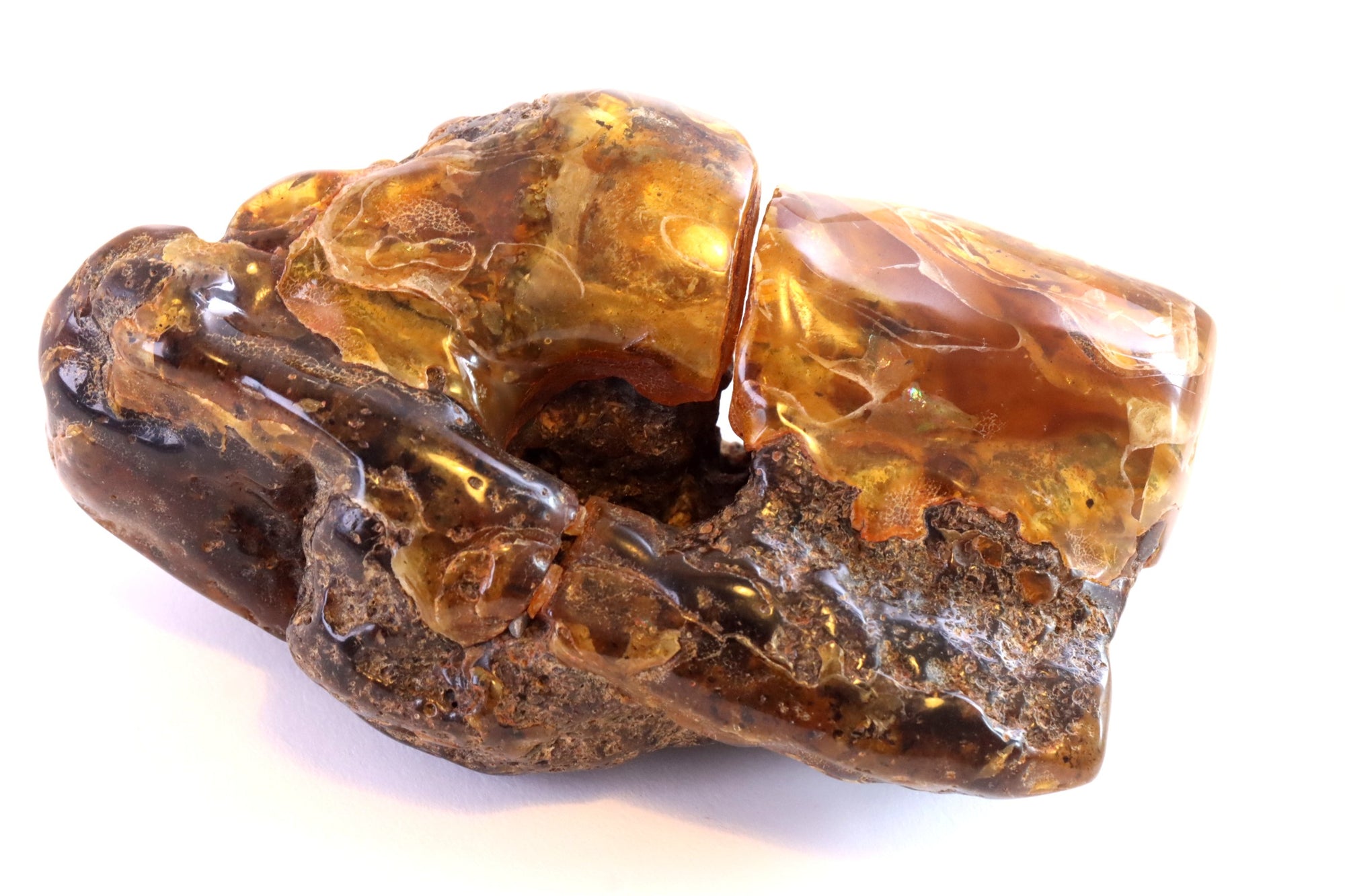 Unbelievable Large 322g Baltic Amber Collector's Gem