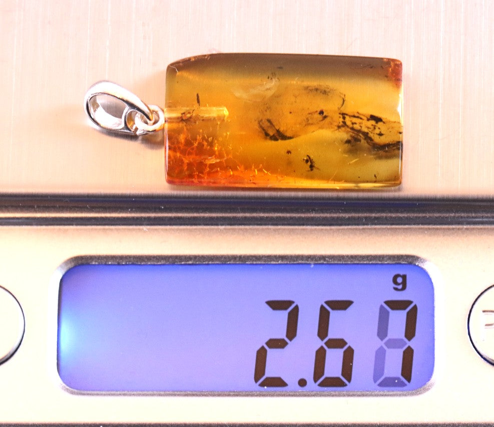 Genuine Baltic Amber Pendant with Insect