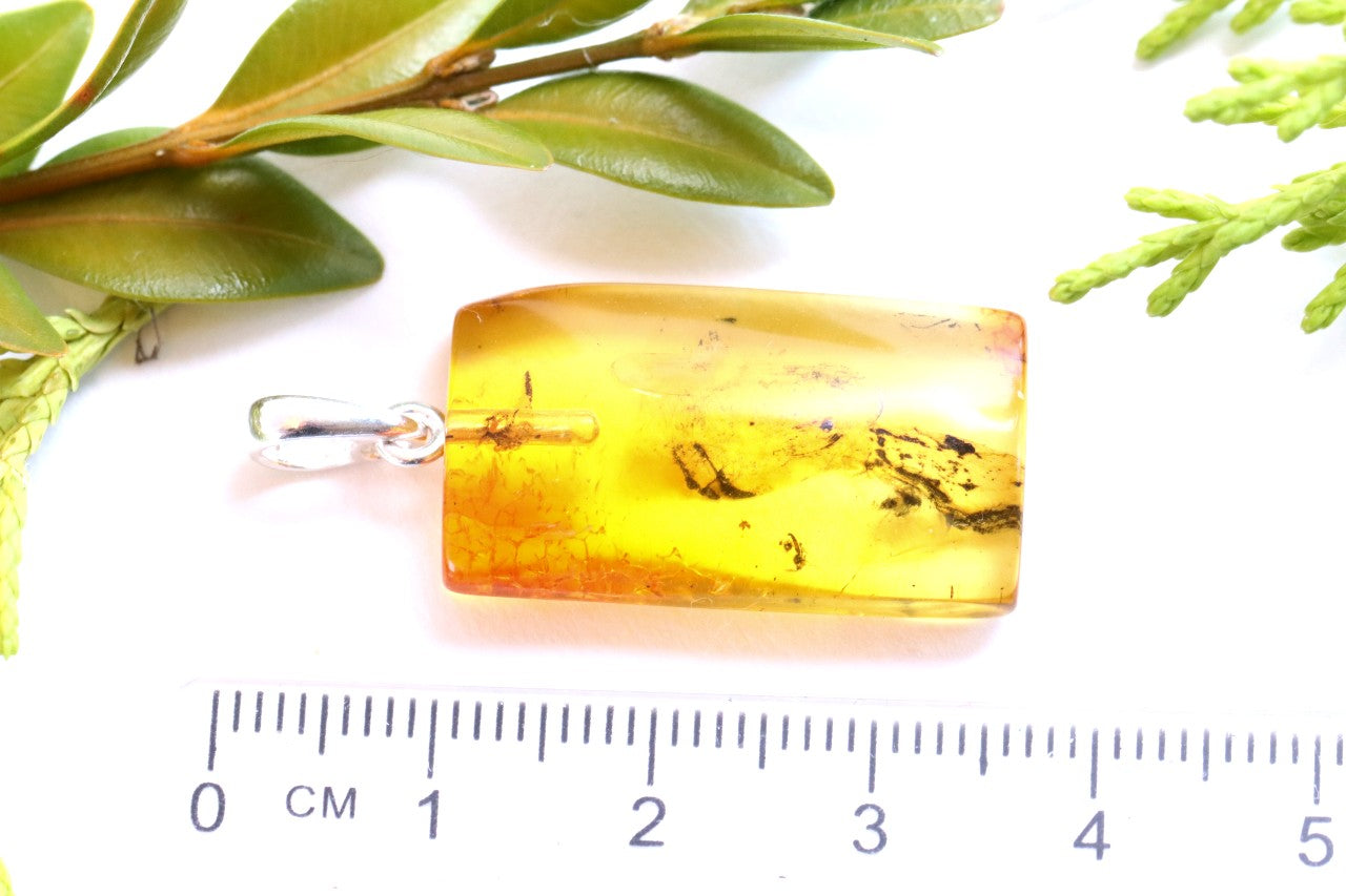 Genuine Baltic Amber Pendant with Insect
