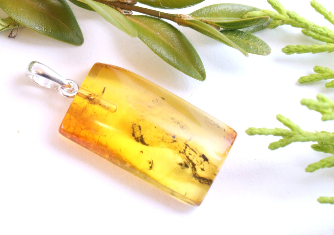 Genuine Baltic Amber Pendant with Insect